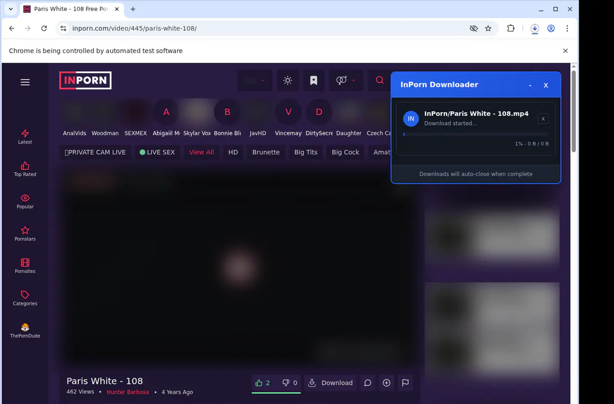 Inporn Video Downloader screenshot 2