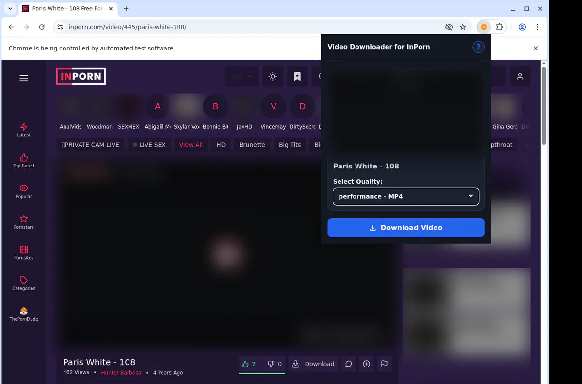 Inporn Video Downloader screenshot 3